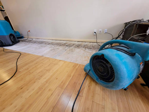 Professional Basement Flood Cleanup technician working in Hartford, TN
